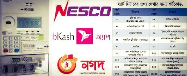 NESCO Prepaid Meter Balance Check Online